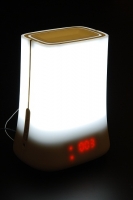   LED lamp with audio   2