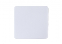   LED SILVER 36 () White (6000K)   3