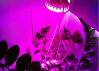 LED светодиодная лампа для растений 15W, E27 превью фото 2
