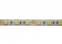 Светодиодная лента SMD 5050 (60 LED/m) IP54 Econom White (6000K) превью фото 3
