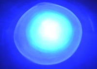 Выводной светодиод 5мм (синий) 3.2-3.4В превью фото 2