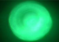 Выводной светодиод 5мм (зеленый) превью фото 2