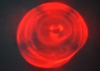 Выводной светодиод 3мм (красный) превью фото 2