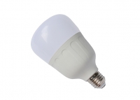 Светодиодная лампа E27, 220V 20W Bulb White (6000K) превью фото 2