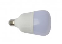 Светодиодная лампа E27, 220V 20W Bulb White (6000K) превью фото 3