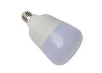 Светодиодная лампа E27, 220V 30W Bulb White (6000K) превью фото 1