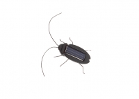 Светодиодный жук на солнечной батарее превью фото