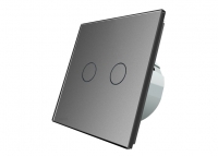 ��������� ������� Livolo Two touch Gray