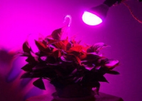 LED ���������� ����� ��� ������ 7W, E27 ����'� ���� 2