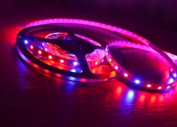 ���������� ��������� SMD 5050 (60 LED/m) IP20 Premium ����'� ���� 2