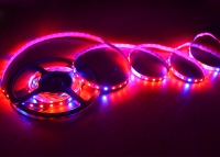 ���������� ��������� SMD 5050 (60 LED/m) IP20 Premium ����'� ���� 3