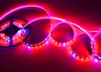 ���������� ��������� SMD 5050 (60 LED/m) IP20 Premium ����� ���� 4