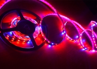 ���������� ��������� SMD 5050 (60 LED/m) IP20 Premium ����� ���� 5