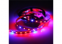 ���������� ��������� SMD 5050 (60 LED/m) IP20 Premium ����� ���� 8