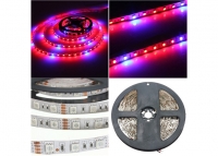 ���������� ��������� SMD 5050 (60 LED/m) IP20 Premium ����� ���� 9