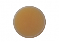 ���� ����� ZJ-18 (50�) ����'� ���� 2