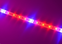 ���������� ��������� SMD 5050 (60 LED/m) IP54 Econom ����'� ���� 2