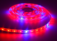 ���������� ��������� SMD 5050 (60 LED/m) IP54 Econom ����'� ���� 3