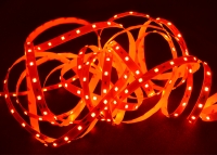 ���������� ������ SMD 3528 (60 LED/m) IP20 Econom White (6000K) ����� ���� 5