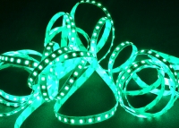 ���������� ������ SMD 3528 (120 LED/m) IP20 Econom White (6000K) ����� ���� 5