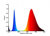 �������� ��� ������ (Գ����������) 20�� 220� ����� ���� 4