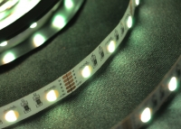 ���������� ������ SMD 5050 (60 LED/m) RGBW IP20 Econom (6000�) ����� ���� 5