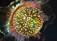 ����������� ���������� ����� E27, 220V 3W 3D RGB ����'� ���� 3