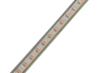 ���������� ������ SMD 2835 (120 led/m) Slim IP68 ������ 220V Econom ����� ���� 4