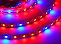 ���������� ��������� SMD 5050 (60 LED/m) IP20 Econom ����'� ���� 2